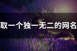 独一无二霸气名字,独一无二名字的魅力解析
