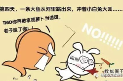 小白兔幽默笑话,趣味横生的幽默笑话集锦