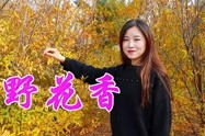 野花香视频在线观看免费高清版,免费高清在线观看，沉浸式体验自然芬芳
