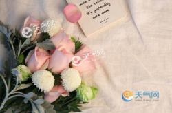 十字以内小情话,精选十字以内小情话，浪漫表达爱意瞬间