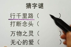 万物之灵(打一字),探寻万物之灵的智慧之光