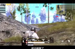 狄仁杰带小姐姐吃鸡,共赴吃鸡盛宴