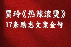 励志文案,励志文案中的力量与智慧